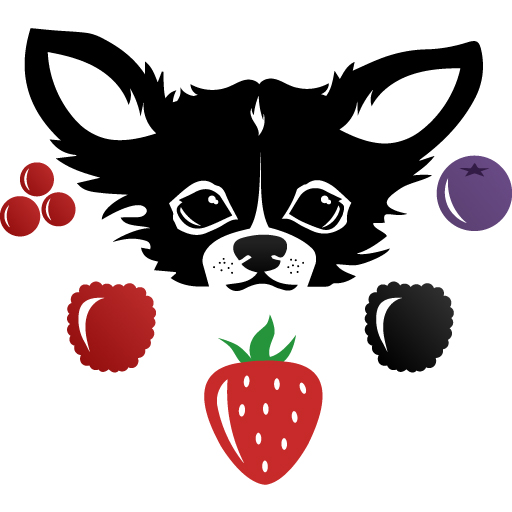 NUOVA PROPOSTA PICCOLI FRUTTI E ORTAGGI