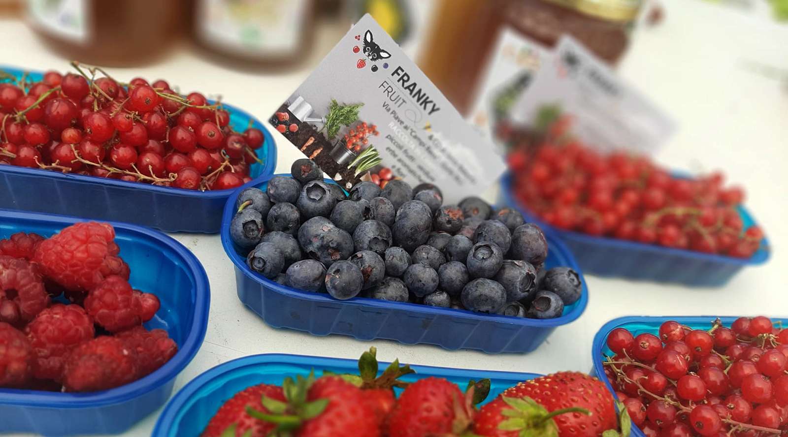 Frutta